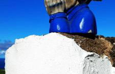 Finca las Mariposas - Foto 38