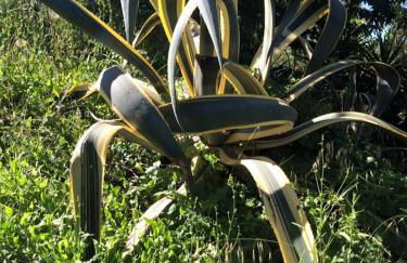 Azienda Agricola Perconti - Foto 57