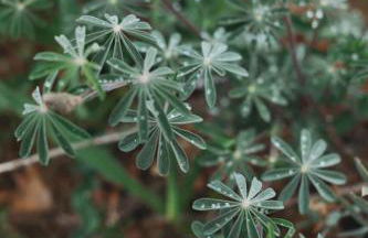 Spacious 4-bedroom cabin on secluded private land - Foto 28