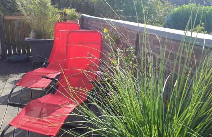 An den Tonwerken 24 Ferienwohnung Sunny - Foto 19