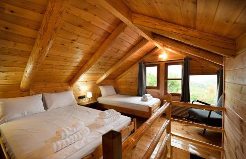 Ο κισσός - Foto 11