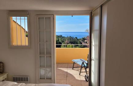 Seaview house, close Cannes, pool, garden. garage - Foto 35