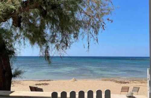 Mediterranea - Foto 16