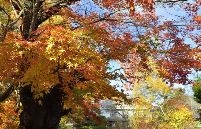 VILLA SAISON FUJI - Foto 70