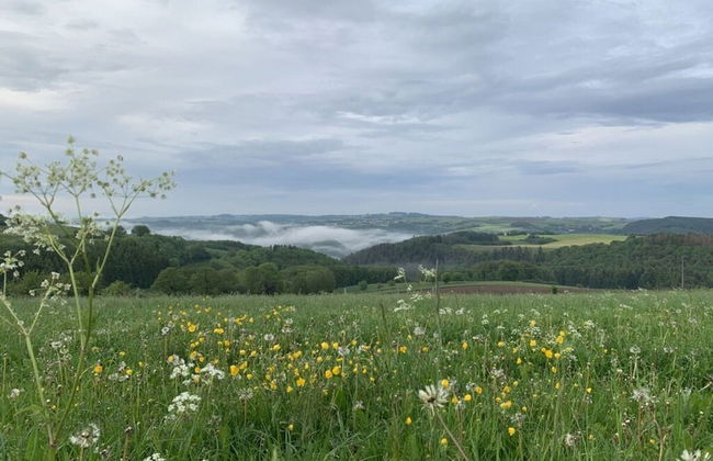 Eifel Chalet Holiday Apartment - Foto 11