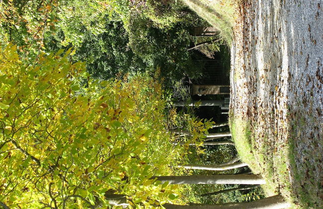 Mansion in Langhe With Pool and Winery Charm - Foto 16