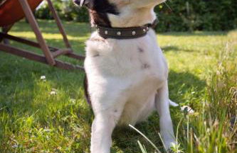 Cottage on Hill - Photo 18