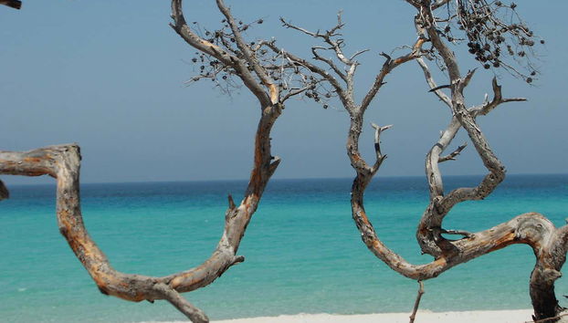 Giussani & Saleccia Beach Day Trip - Foto 3