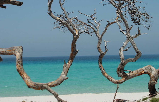 Giussani & Saleccia Beach Day Trip - Foto 3