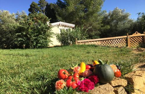 Lodge Montagnac - Foto 20