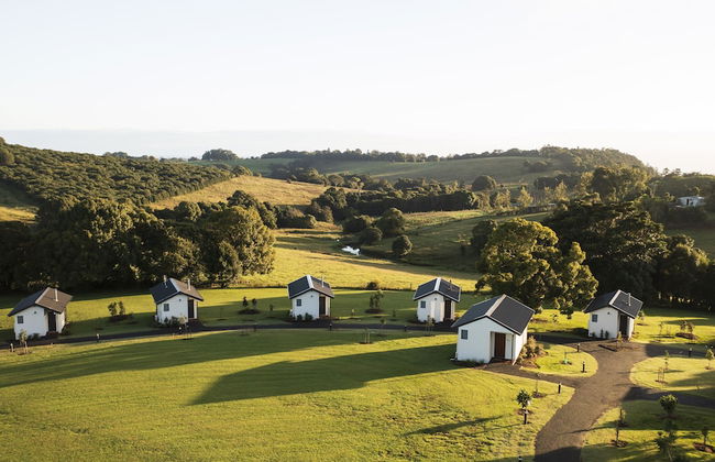 Beechmont Estate - Foto 13