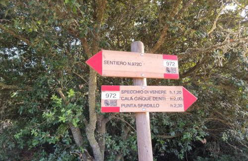 Scauribasso14 - Foto 40