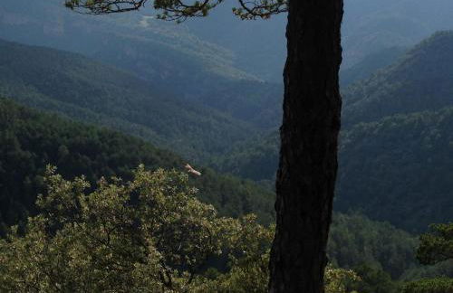 La Pegatera Masia rodeada de bosque ideal para desconectar - Photo 69