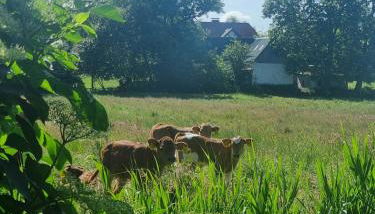 Tiny Haus ca 1 Std von Hamburg entfernt - Foto 3, Garden