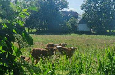 Tiny Haus ca 1 Std von Hamburg entfernt - Photo 3