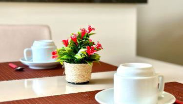 Apartamento Palmeira Essencial - Foto 3