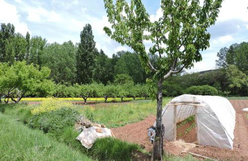 Casa rural El Rincón de las Estrellas - Foto 34