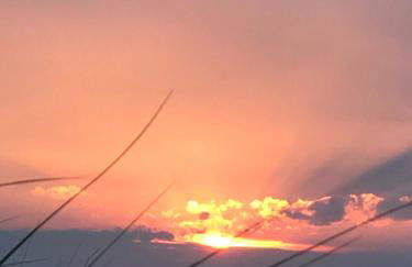 "Leuchtturmhaus" by Ferienhaus Strandgut - Foto 22