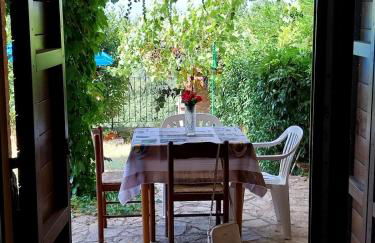 La Bella Vista - Photo 13