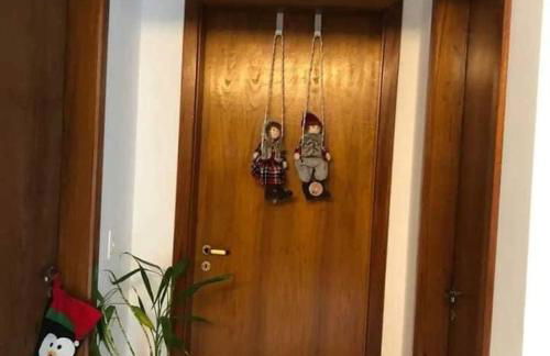 Hortênsiailedefrance - Foto 30