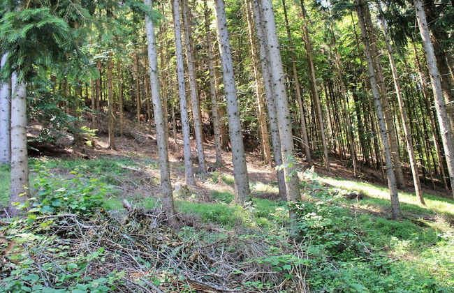 Cozy Apartment in Köttmannsdorf near Lake - Photo 33