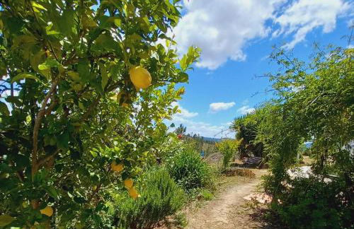 Vale de Garcia AL 5357 - Foto 47