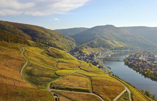 Bernkasteler Moselpanorama - Foto 19