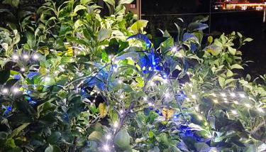 Ca' de natta - Foto 5