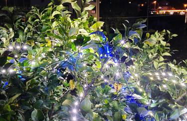 Ca' de natta - Foto 5