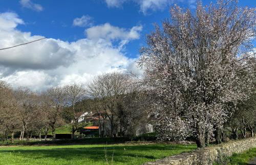 Casa Otilia - Rural - Camino de Santiago - Arzúa - Foto 57