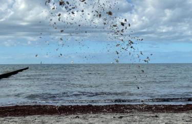 Ostsee-Ferienwohnung-Lipsia - Foto 24