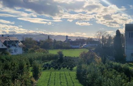 Haus Sonnenseite Wohnung Pfänder - Foto 24