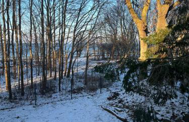 Domki Villa Hoff Resort - Foto 58