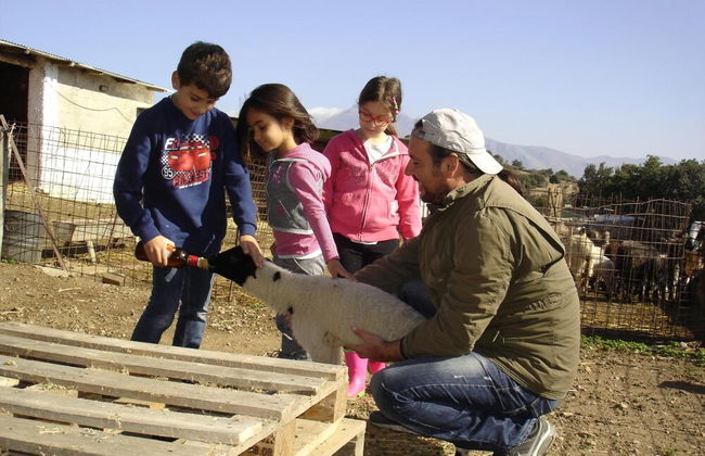 Ktima Nikola - Photo 23