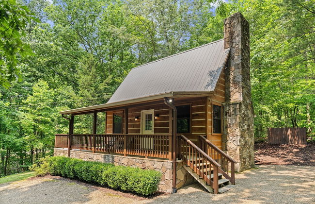 Mountain Laurel - 1 Bedrooms, 1 Baths, Sleeps 4 Cabin by RedAwning - Foto 1
