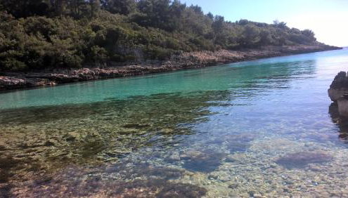 Planika Apartments 1 - Foto 3