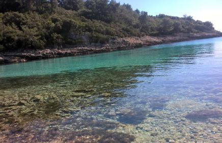 Planika Apartments 2 - Foto 2