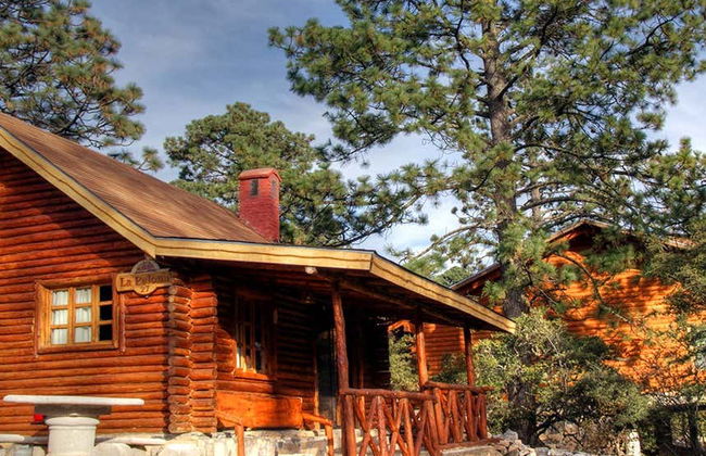 Excursion à Arteaga - Photo 4