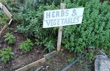 Elizabeth's apartment1 - Foto 9