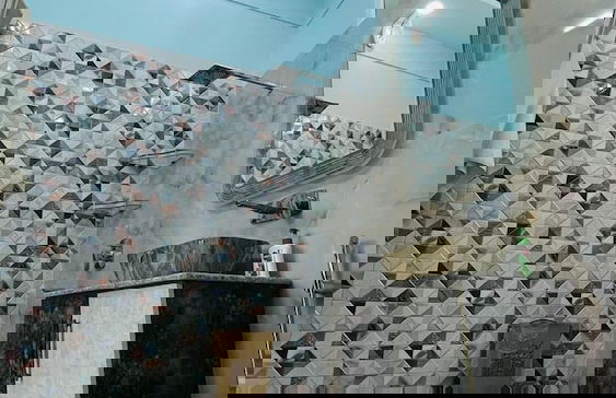 Wiseone Choice Farm - Foto 9