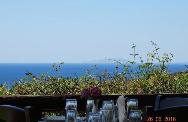 Ktima Nikola - Photo 24