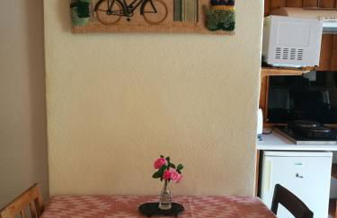 studio ensoleillé avec jardin pour 2 à Monêtier - Photo 1