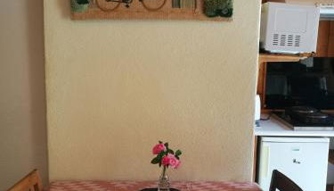 studio ensoleillé avec jardin pour 2 à Monêtier - Photo 1