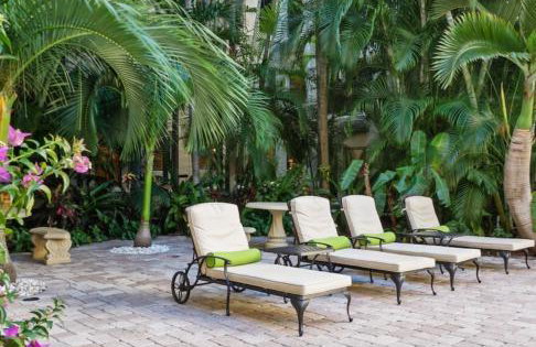 TROPICAL Palm Beach NEW SUITE 3 Beds 2 BEDRS &2BATHROOMS ENSUITE BEACH 5 MINOutdoorPOOL Garden - Photo 56