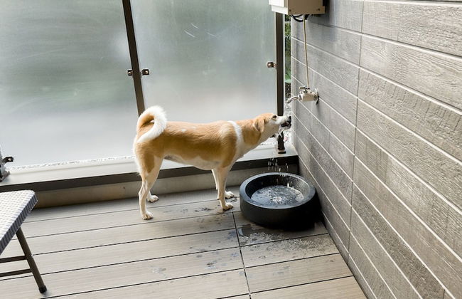 Rakuten STAY Nikko Hoden - Photo 41