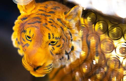 Settlers Lodge - Foto 34