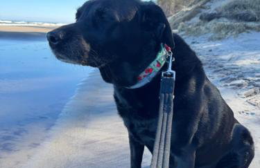 Corner House Plesna - Photo 50