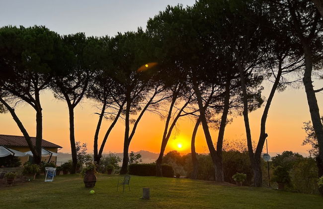 Agriturismo Le Querciole - Foto 55