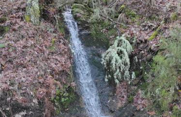 Quinta do Borges 2 - Foto 15