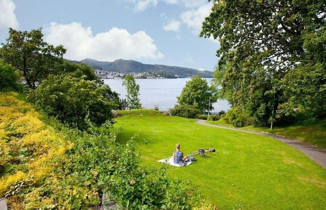 Cozy Studio in Bergen Center - Photo 12